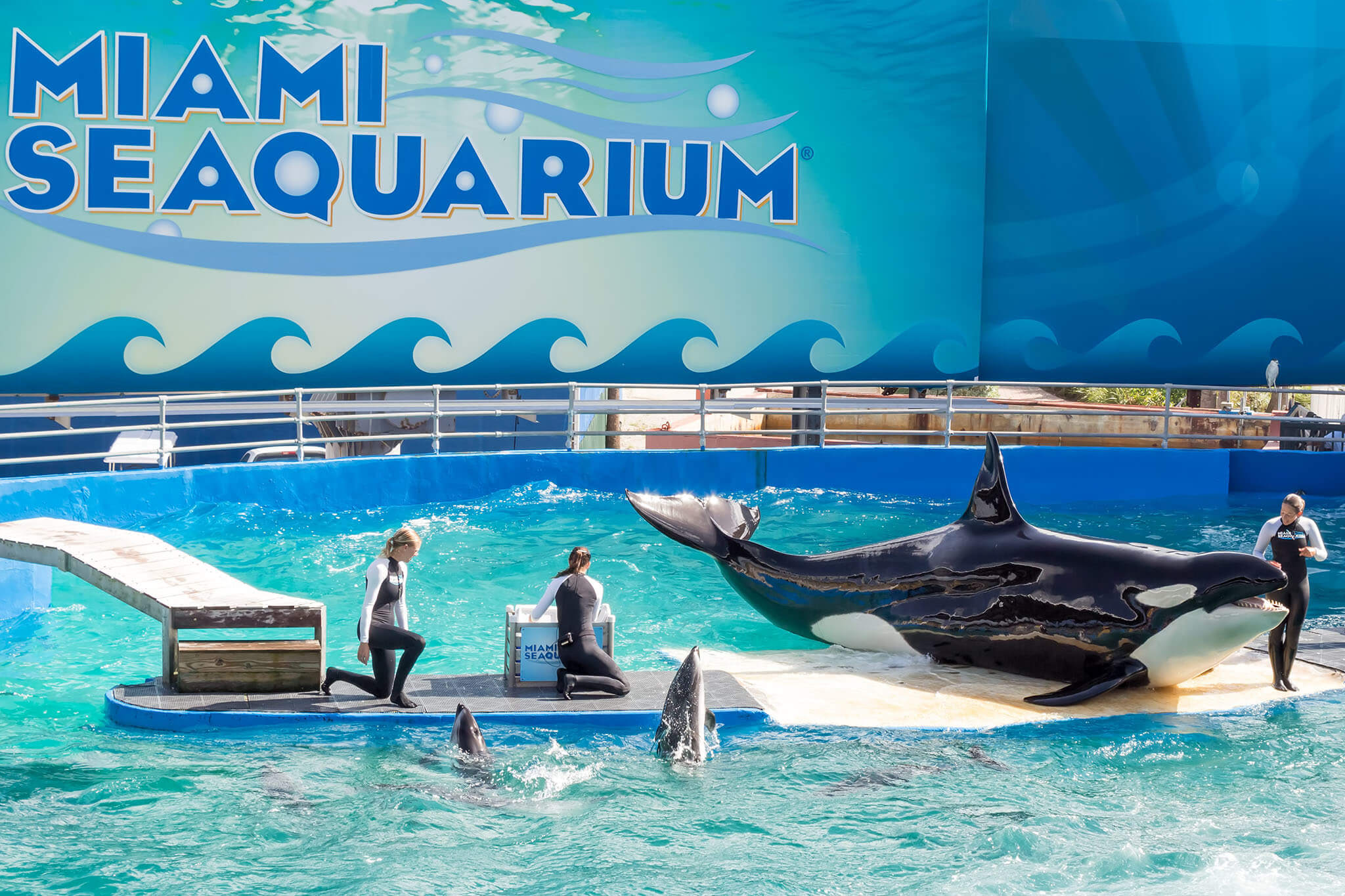 Miami Sea Aquarium